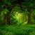 Lost Woods - Laura Sullivan