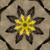 Lost Desert Flower - Geroy