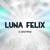 Preface - Luna Felix