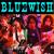 Laro - Bluewish