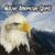 Desert Dance - Indian Calling