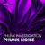 Underground - Phunk Investigation