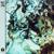 I Want Your Lovin’ - Whilk & Misky