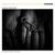 Moving Forward - Federico Mecozzi