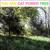 Evolution - Cat Power
