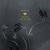 Beving: Prelude - joep beving