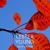 Afternoon Of A Basie-Ite - Lester Young