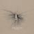 Beving: Ala - joep beving