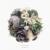 Bloom - Johari