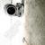 Get Innocuous! - Lcd Soundsystem