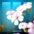Compliance - Daniel Portman