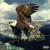 INTERNATIONAL - Alblak 52