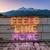 Feels Like Home - Ruth Royall