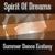 Summer Feelings - Spirit Of Dreams