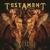 Down for Life - Testament
