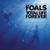 Black Gold - Foals
