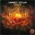 Lotus - Ummet Ozcan