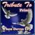 The Most Beautiful Girl in the World - The Prince Tribute Band