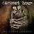 Severed Into Separates - Darkest Hour