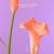 Make It Out - Falden