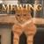 Mewing - Xonthebeat