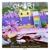 Tussle Among Trees - OMORI