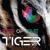 Eye of the Tiger - Eye of the tiger