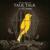 Talk Talk - Talk Talk