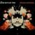 Daniella - John Butler Trio