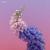 Free - Flume