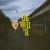 Will You Hate Me - Demuja