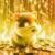 CRYPTO HAMSTER - QMIIR