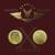 Crazy - Frozen Plasma