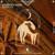 Eastern Wind - DJ Avi Revach