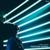 Neon Girl - Pavel Velchev