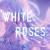 White Roses - PHXXNIX
