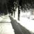 Walk in the cold - dayerteq