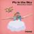 Fly in the Sky - Brooks Cash