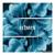 Echoes - Shallowsky