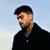 Alienated - Zayn