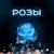Розы - Тайпан