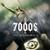 Наебалово - 7000$