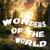 Wonders of the World - Dj Polkovnik