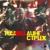 Вечер в хату - Стриж