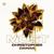 MOST - Christopher Damas