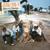 Contribution - Jurassic 5