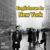 Englishman In New York - Max Mushta