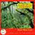 Friend of the Rain Forest - Gomer Edwin Evans
