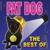 Im not scoobidoobidoo (Radio Edit) - Fat Dog
