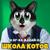 Школа котов - а ну-ка давай-ка